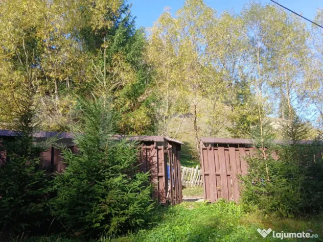 2 Cabane lemn Vadu Negrilesei, 96MP, 1100 MP teren, 45k - Vadu Negrilesei (Suceava)