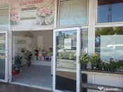Spatiu comercial de inchiriat