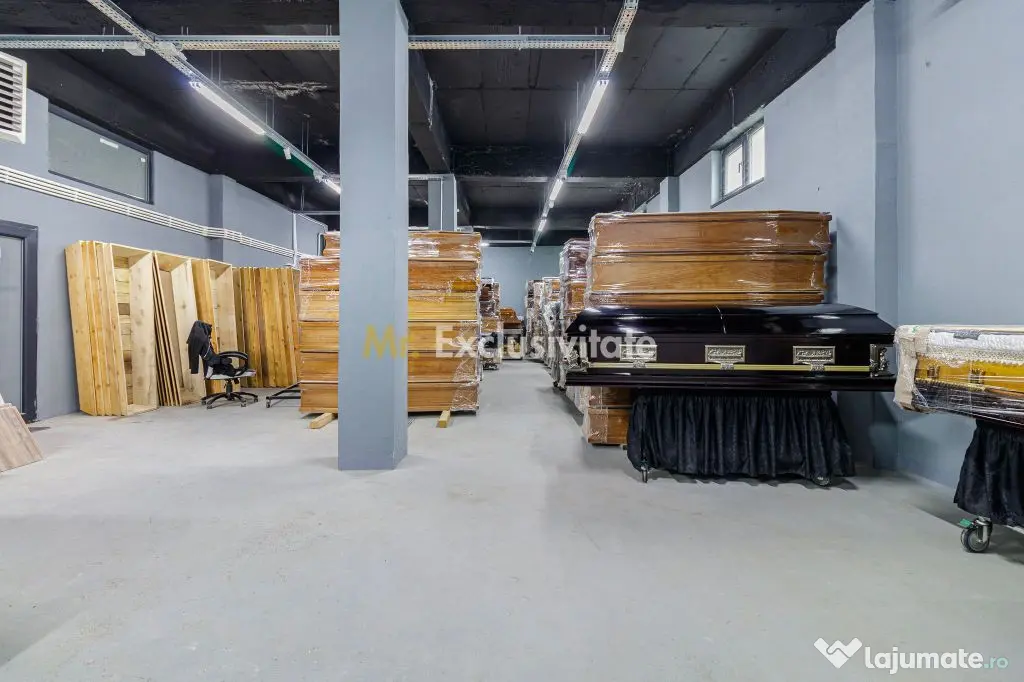 Hala / Spatiu Productie / Rezidential - Vedere catre lac - Bucuresti (Bucuresti-Ilfov)