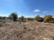 Teren spectaculos de 7.928 mp în Urvind – Vedere panorami