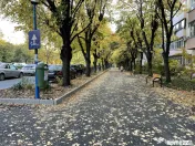 3 Camere -Aleea Circului - Stefan cel Mare - Comision 0% 