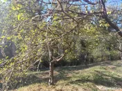 Casă CIGMĂU - GEOAGIU + teren / pădure 32.400 mp, curent, 