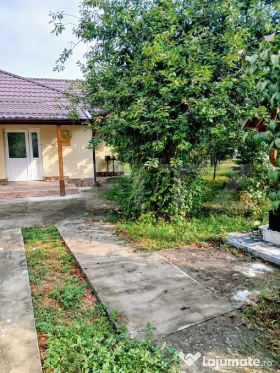 2 CASE + 6.000 MP TEREN + PĂDURE | Bilciurești, Dâmboviț - Bilciuresti (Dambovita)