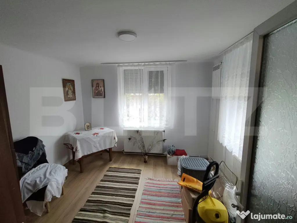 2 CASE + 6.000 MP TEREN + PĂDURE | Bilciurești, Dâmboviț - Bilciuresti (Dambovita)