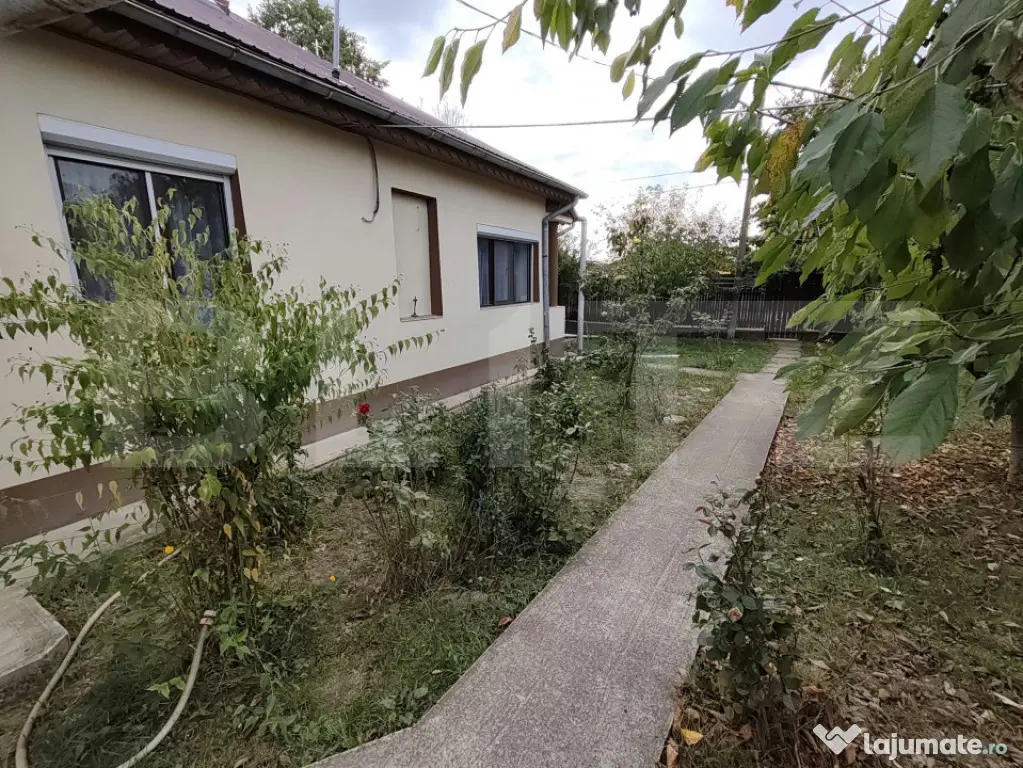 2 CASE + 6.000 MP TEREN + PĂDURE | Bilciurești, Dâmboviț - Bilciuresti (Dambovita)