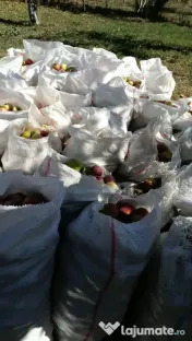 Mere de vanzare pentru tuica sau suc 