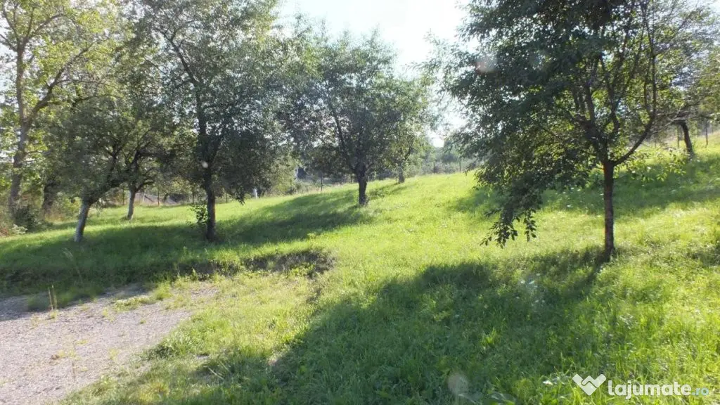 Teren Bran Sohodol , o zona de vis, o priveliste unica spre - Sohodol (Brasov)