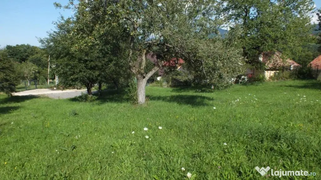 Teren Bran Sohodol , o zona de vis, o priveliste unica spre - Sohodol (Brasov)