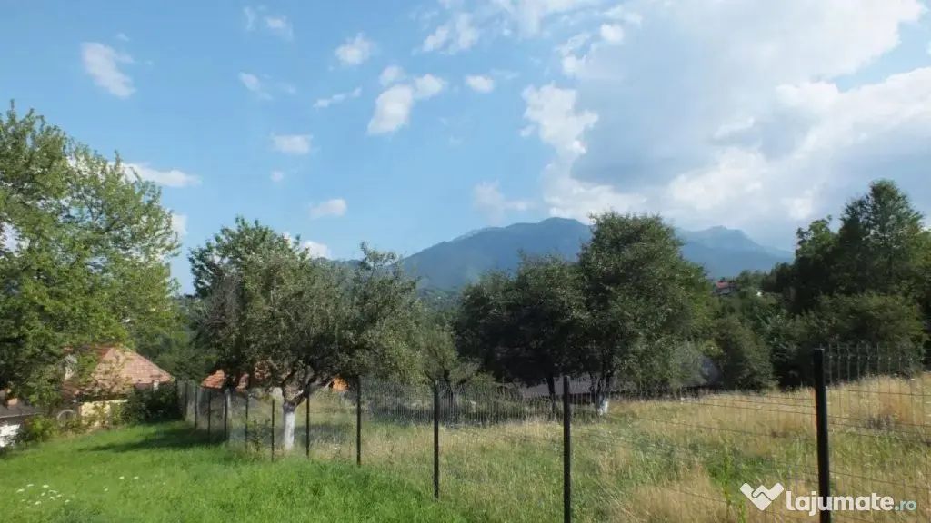 Teren Bran Sohodol , o zona de vis, o priveliste unica spre - Sohodol (Brasov)