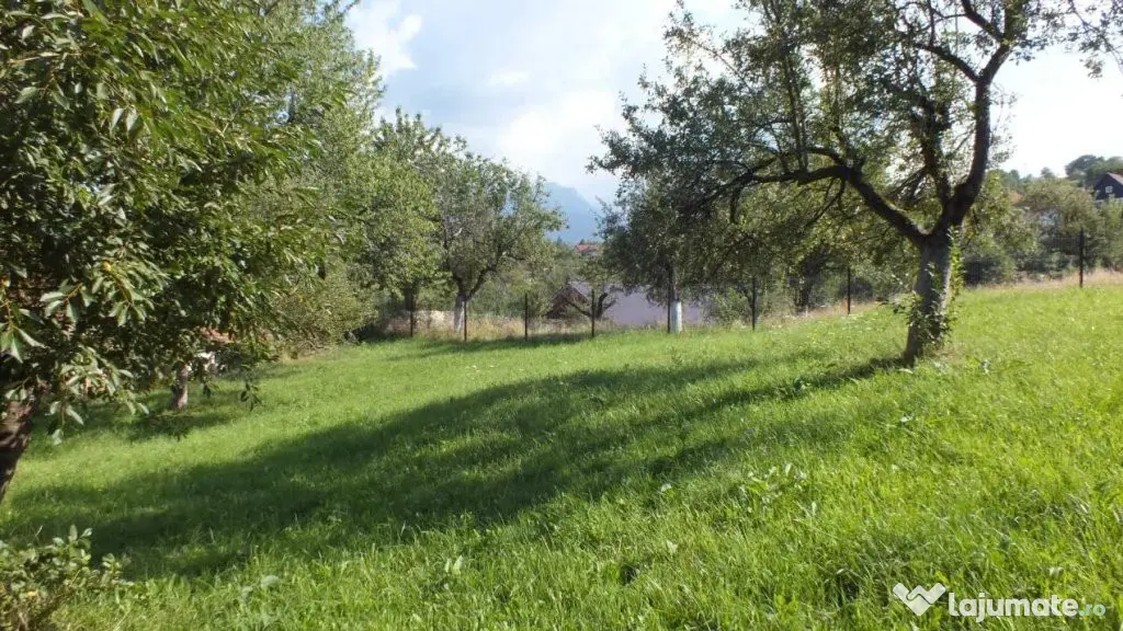 Teren Bran Sohodol , o zona de vis, o priveliste unica spre - Sohodol (Brasov)