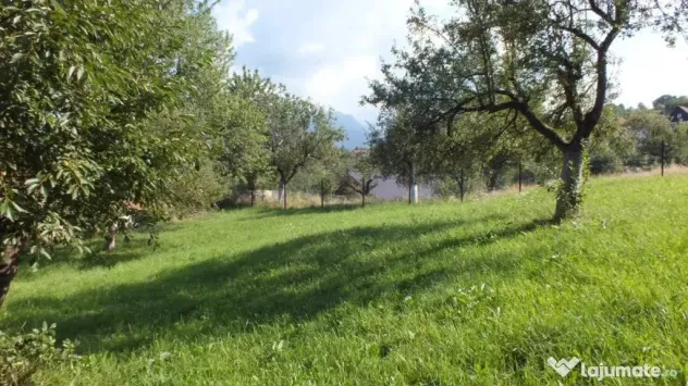 Teren Bran Sohodol , o zona de vis, o priveliste unica spre - Sohodol (Brasov)