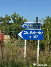 Teren Branesti Padure