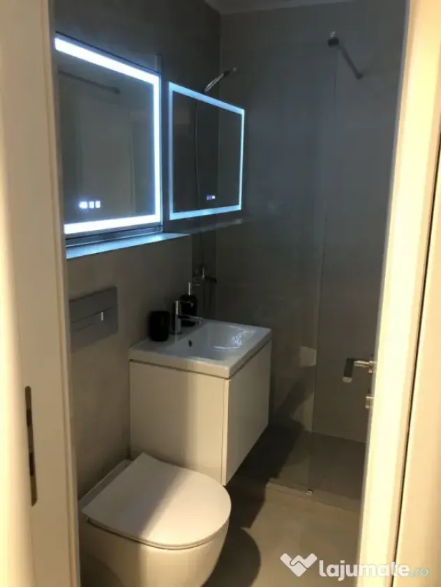 Berceni-2 camere ( Renovat + Utilat ) - Bucuresti (Bucuresti-Ilfov)