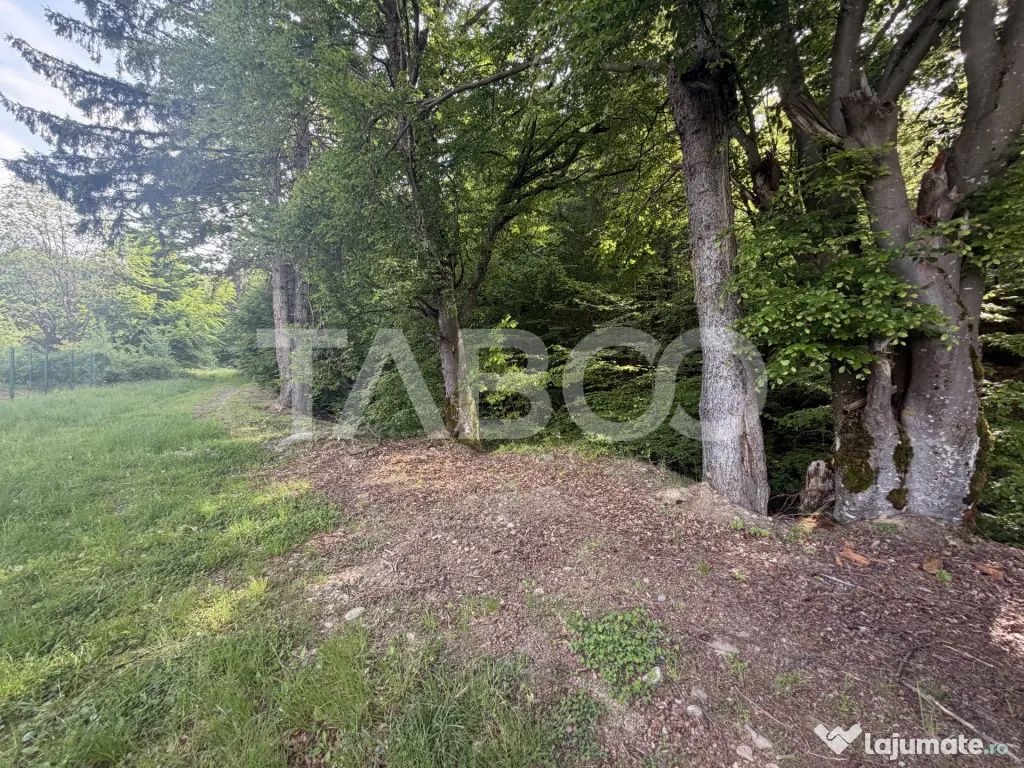 Teren intravilan 1000 mp front stradal 40 m langa Partia de - Dragus (Brasov)