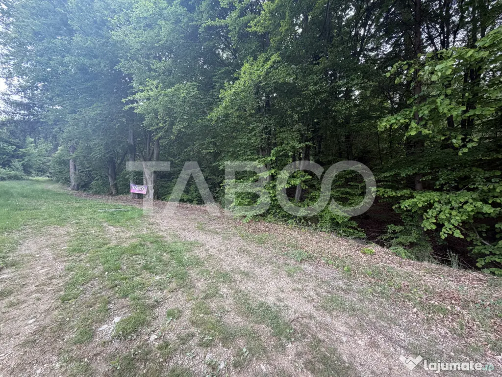 Teren intravilan 1000 mp front stradal 40 m langa Partia de - Dragus (Brasov)