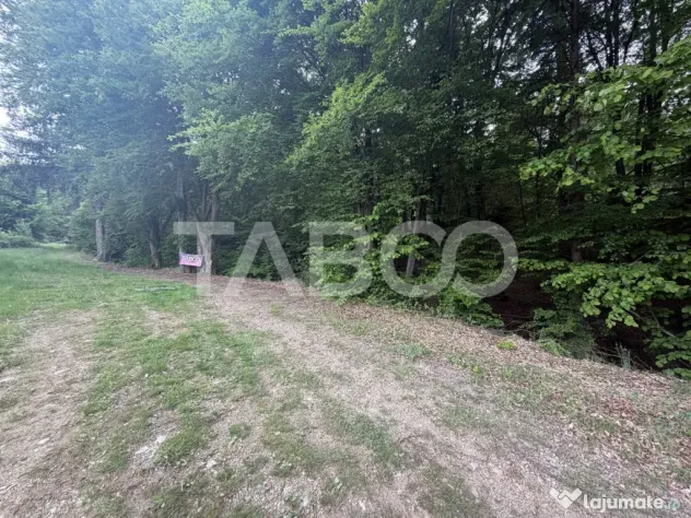 Teren intravilan 1000 mp front stradal 40 m langa Partia de - Dragus (Brasov)