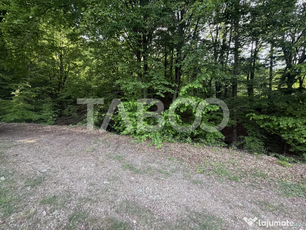 Teren intravilan 1000 mp front stradal 40 m langa Partia de - Dragus (Brasov)