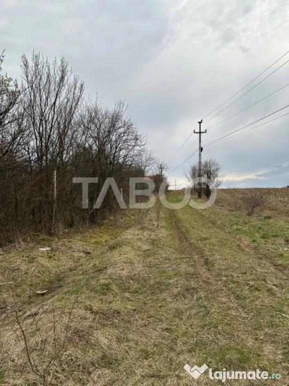 Teren intravilan 791 mp utilitati langa parcela front 13 m C - Cisnadie (Sibiu)