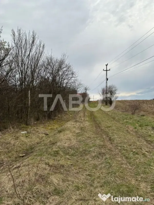 Teren intravilan 791 mp utilitati langa parcela front 13 m C - Cisnadie (Sibiu)