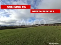 Teren intravilan de vanzare in Rasinari zona Calinis - 890 m