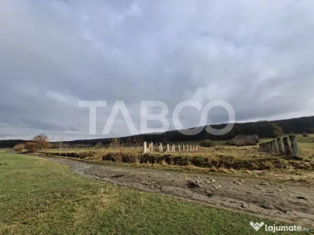 Teren intravilan de vanzare in Rasinari zona Calinis - 890 m - Rasinari (Sibiu)