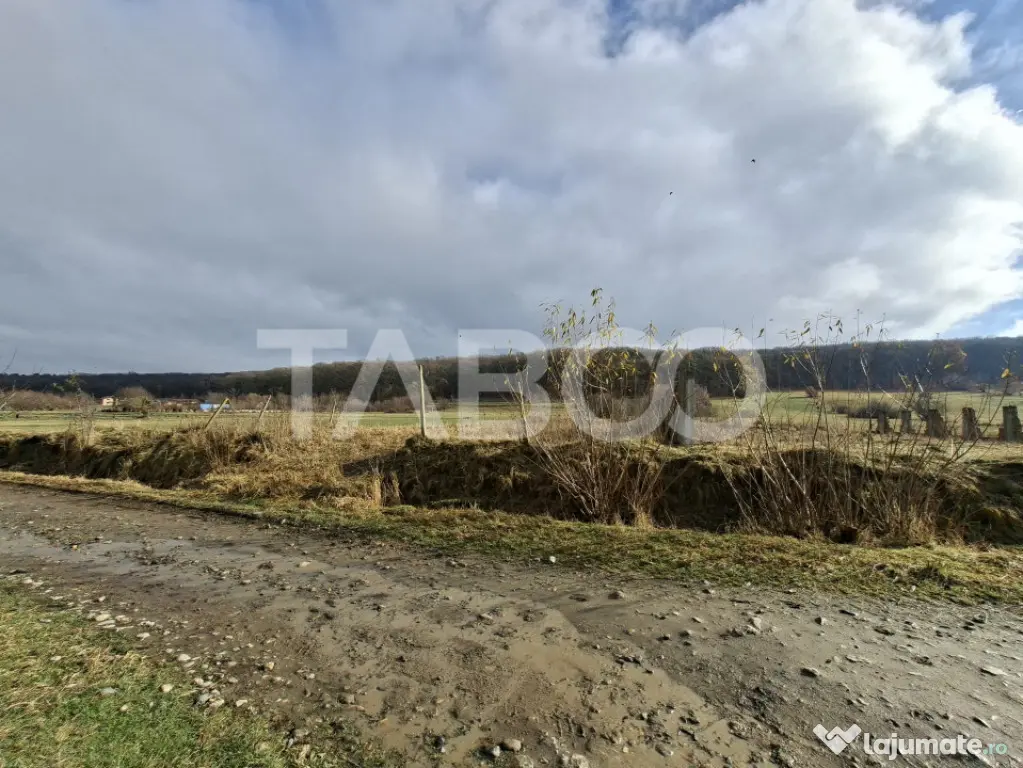 Teren intravilan de vanzare in Rasinari zona Calinis - 890 m - Rasinari (Sibiu)
