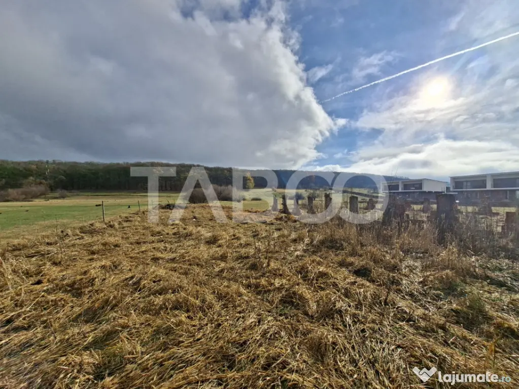 Teren intravilan de vanzare in Rasinari zona Calinis - 890 m - Rasinari (Sibiu)