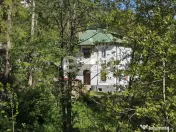 Vilă istorică de vânzare în Voineasa – o proprietate c 