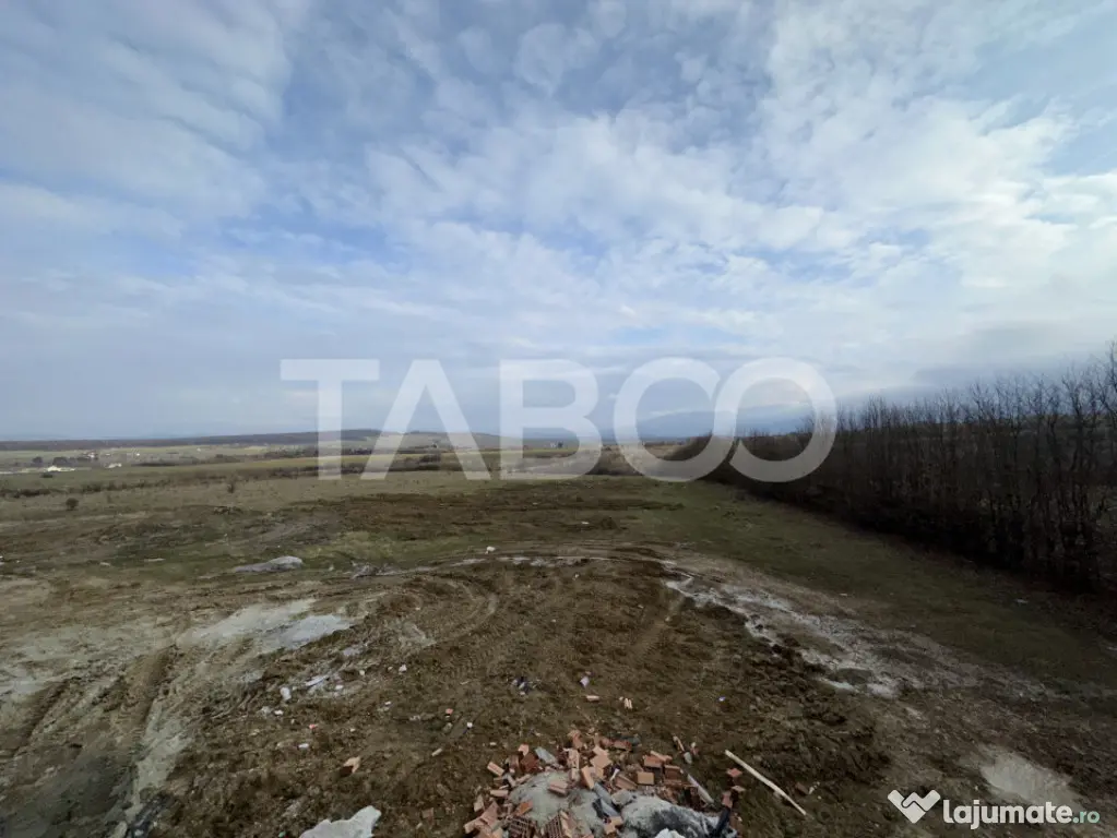 Teren intravilan industrial 1886 mp deschidere 33 m POT 40% - Sibiu (Sibiu)