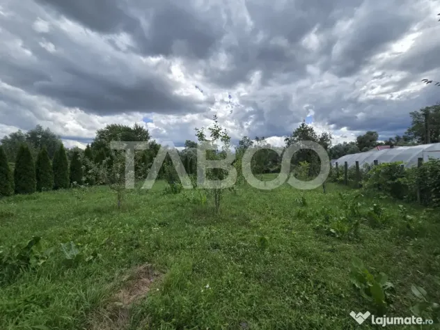 Casa individuala de vanzare cu 1255m de teren in Colun Sibiu - Colun (Sibiu)