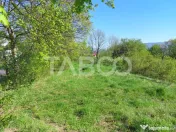 Teren intravilan 4280 mp acces la drum si utilitati zona deo