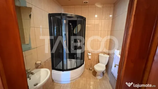 Casa spatioasa 300 mp utili curte amenajata filigorie pe 800 - Saliste (Sibiu)