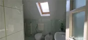 Remetea Mare | Casa individuala, P M | 1219 mp, Comision ZE 