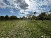 TEREN INTRAVILAN //BREAZA