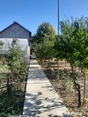 Casa in orasul Giurgiu 
