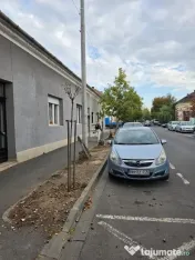 SP Comercial Piata -Creanga, Peco,SC 100 mp , vitrat stradal,bun firma 