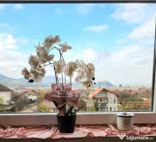 Apartament de lux, 3 camere, scara interioară și curte, Deva 