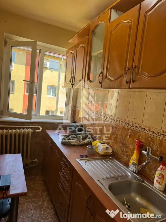 Apartament cu 2 camere in zona Dambovita din Timisoara - Timisoara (Timis)