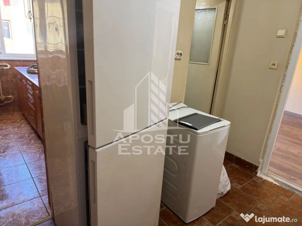 Apartament cu 2 camere in zona Dambovita din Timisoara - Timisoara (Timis)