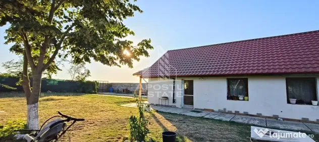 Casă individuală în Bucovăț cu 3250 mp - Bucovat (Remetea Mare) (Timis)