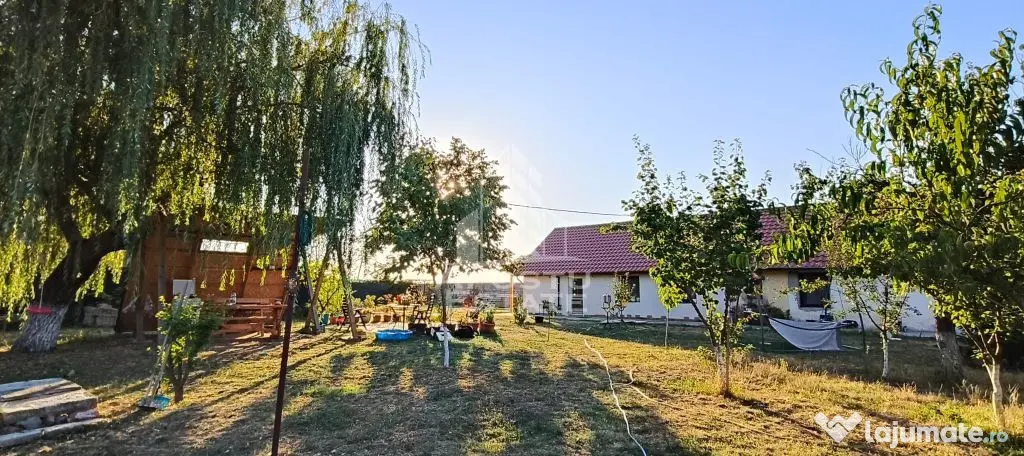 Casă individuală în Bucovăț cu 3250 mp - Bucovat (Remetea Mare) (Timis)