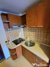Garsoniera pet friendly,zona Buziasului 
