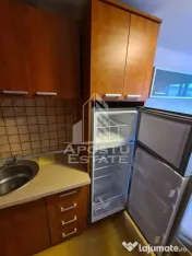 Garsoniera pet friendly,zona Buziasului 