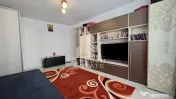 Apartament cu 1 camera de vanzare, mobilat, decomandat,Giroc,la asfalt 
