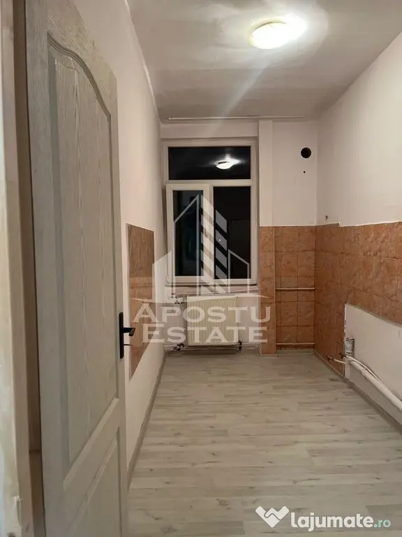 Apartament cu 1 camera de vanzare , etaj intermediar, Blascovici - Timisoara (Timis)