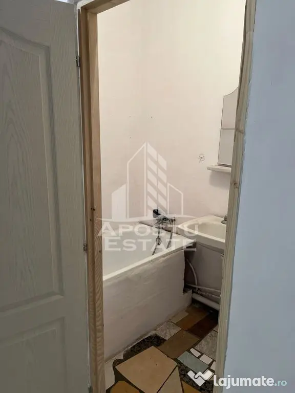 Apartament cu 1 camera de vanzare , etaj intermediar, Blascovici - Timisoara (Timis)