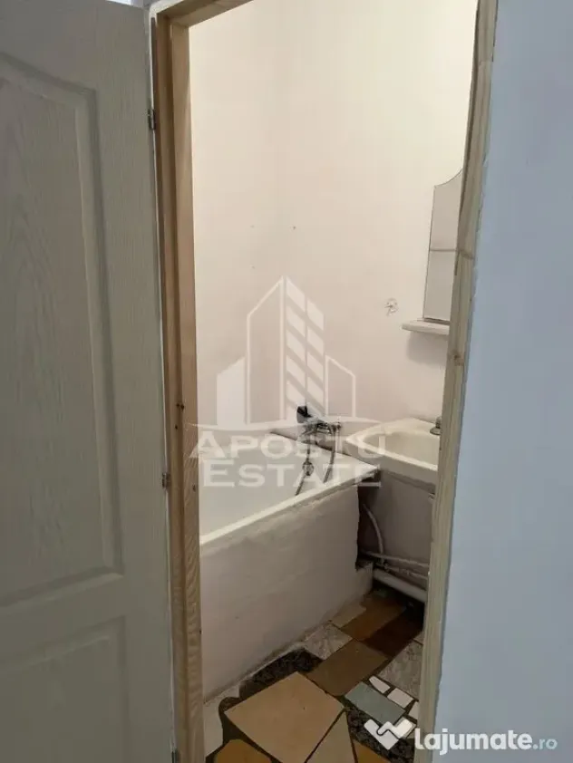 Apartament cu 1 camera de vanzare , etaj intermediar, Blascovici - Timisoara (Timis)