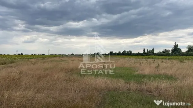 Parcela teren casa, intravilan, 1000 mp, Sanmihaiu Roman - Sanmihaiu Roman (Timis)
