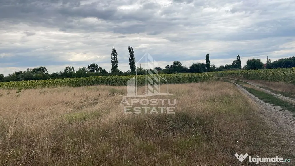 Parcela teren casa, intravilan, 1000 mp, Sanmihaiu Roman - Sanmihaiu Roman (Timis)