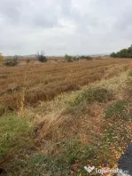 Teren intravilan, 3000 mp, zona Est - Coțofenii din Față